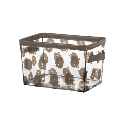 Transparent Storage Boxes